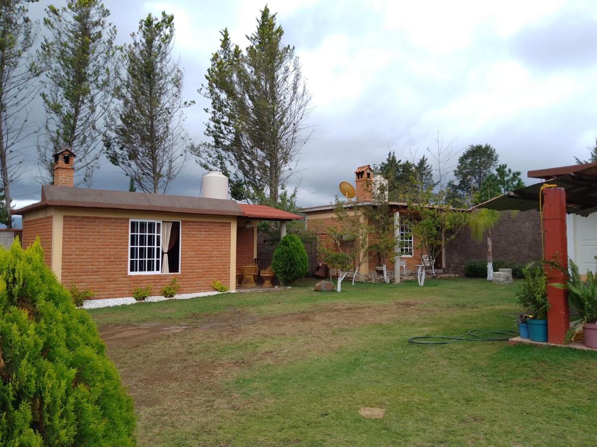 Cabanas Las Margaritas Huasca de Ocampo Exteriör bild