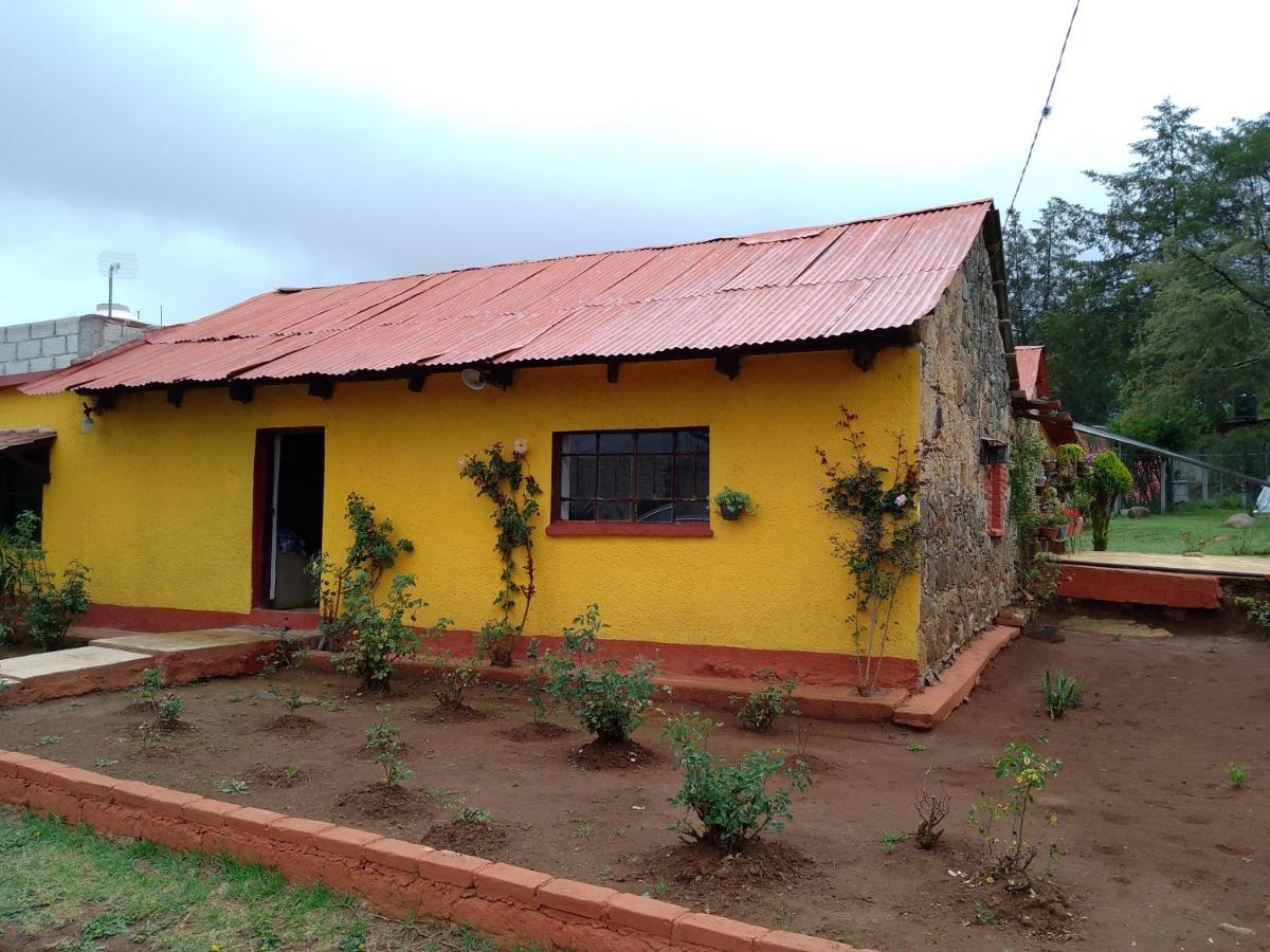 Cabanas Las Margaritas Huasca de Ocampo Exteriör bild